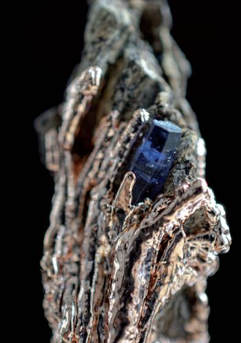 L'intime en TLMR. Hors Série sur le Psychotraumatisme.