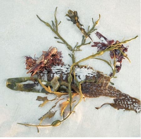 Chemsex, trauma et EMDR-IMO : travailler l’intime par les mouvements oculaires. Chemsex, trauma et EMDR-IMO : travailler l’intime par les mouvements oculaires.