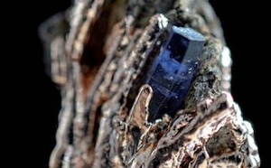 L'intime en TLMR. Hors Série sur le Psychotraumatisme.