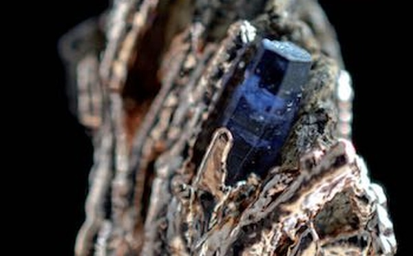 L'intime en TLMR. Hors Série sur le Psychotraumatisme.